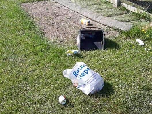 Litter has been left after picnics on the pitches