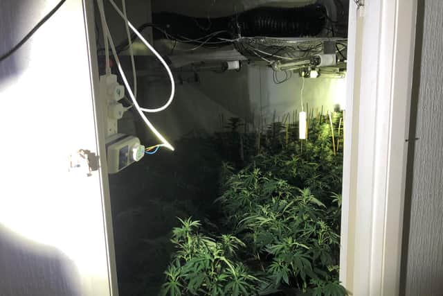 One of the four bedrooms used for growing cannabis. Copyright: Northants Telegraph