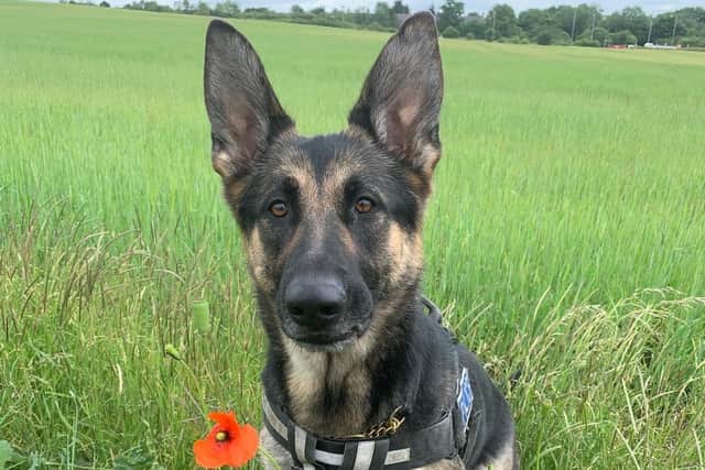 PD Kez on dry land. Photo: Northamptonshire Police