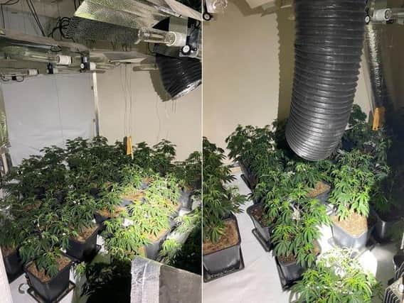 Police dsicovered the cannabis farm in Cranstoun Street back in August