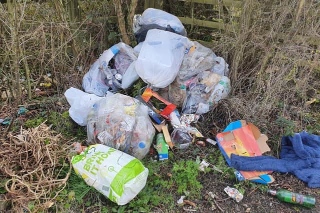The dumped rubbish