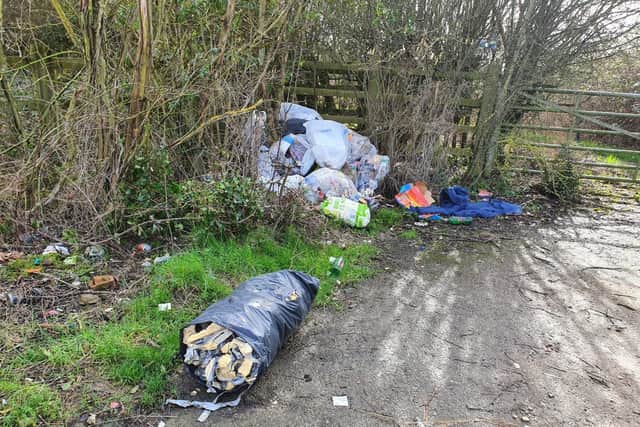 The dumped rubbish