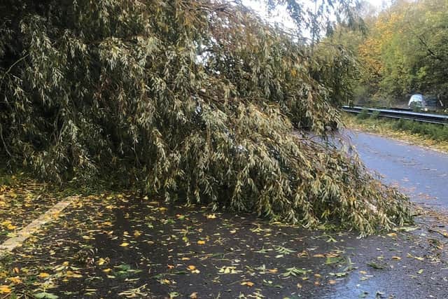 A fallen tree closed the A14 westbound for around four hours