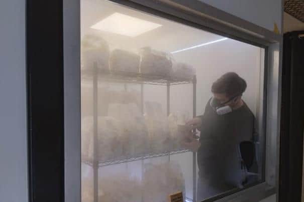 The grow room.