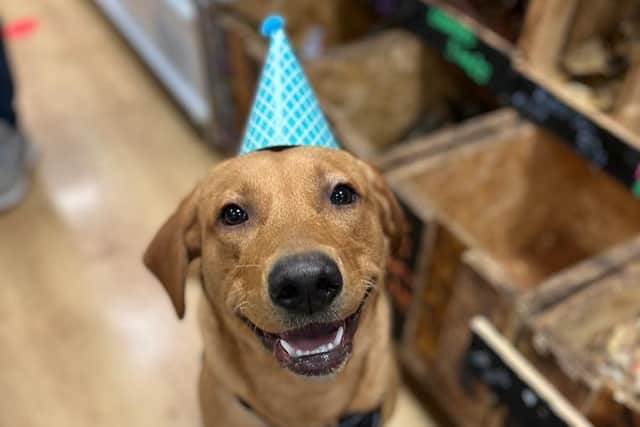 Happy Birthday!