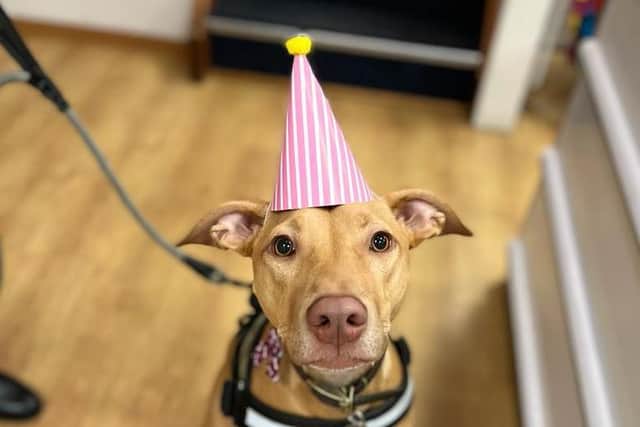 Celebrating