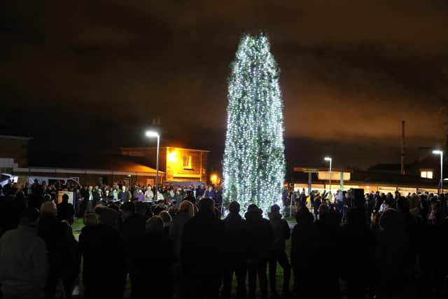 Tree of Lights 2018 - file picture