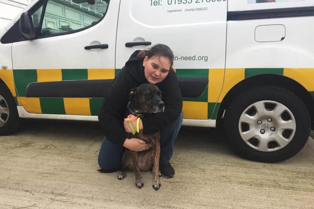 Emma Townsend, 29, with her adopted Staffordshire bull terrier Maisie.