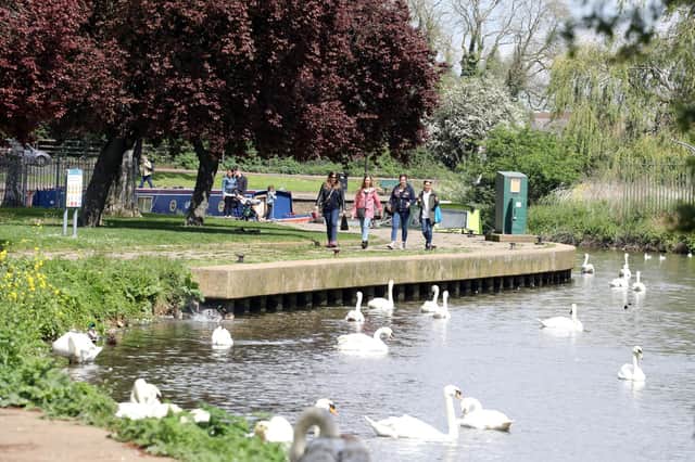 Swans at the Embankment in Wellingborough - File picture
