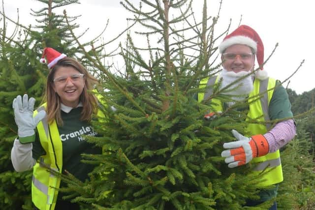 Cransley Hospice will collect your tree for a donation to the charity