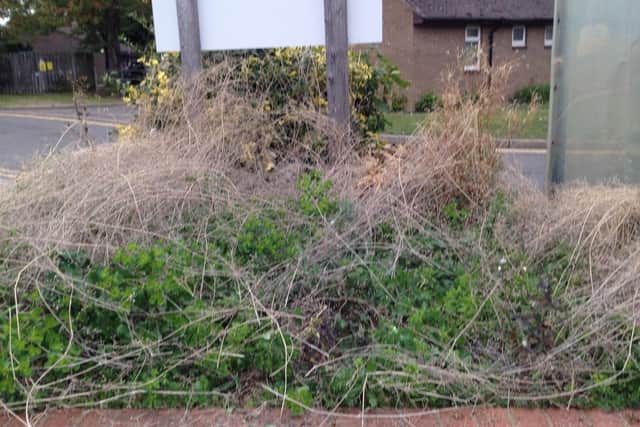 Before the work the flower beds were overgrown
