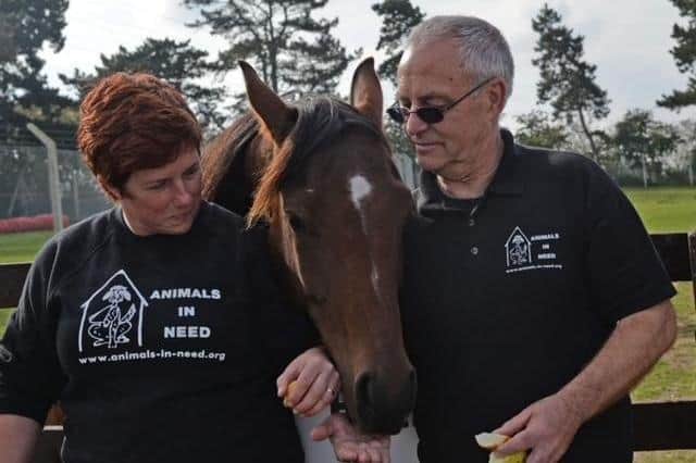 Animals in Need owners Annie and Roy Marriott
