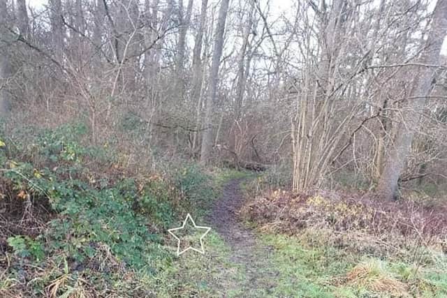 The bag had been dumped at the entrance to King's Wood nature reserve off Colyers Avenue in Corby