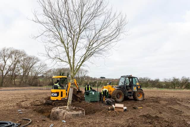 The centrepiece acer is planted in the new Town Park at Stanton Cross
