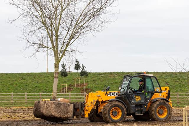 Mature trees have been used for an instant parkland feel