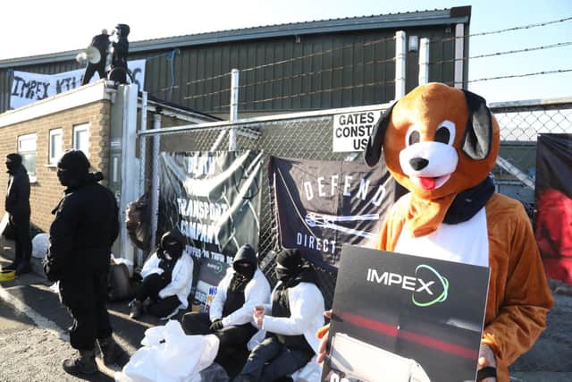 Protestors were dressed as dogs