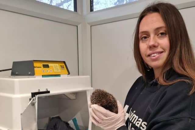 Lizzie Collins, Wildlife Manager at Animals In Need.