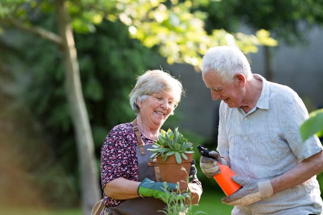 Brits wanting a blooming or edible garden this spring and summer are being offered tips to get ahead on the gardening
