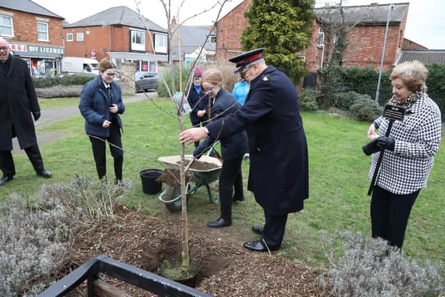 The tree has been planted in the Rest Gardens