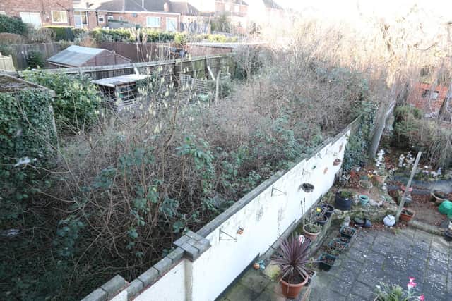 The over-grown garden
