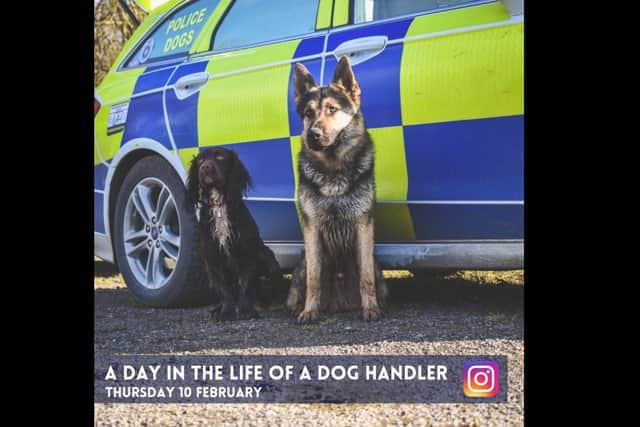 'A day in the life of a dog handler' Instagram takeover featuring PD Bryn and PD Socks was promoted today on the anniversary of the late PD Bryn's death.