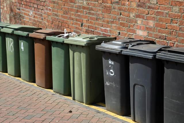 Wellingborough's brown 'green' waste bin collections currently run between March and November - and are free