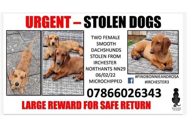 Posters have been put up across the area to reunite Bonnie and Rosa with the Stock family