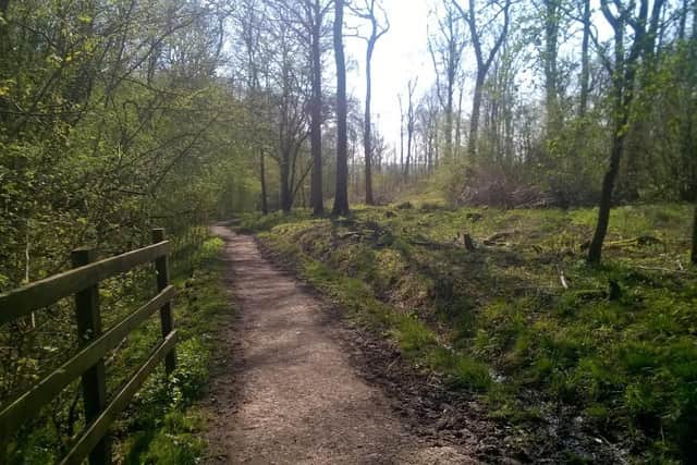 Fermyn Woods Country Park.