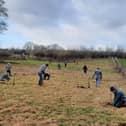 Volunteers plant trees in Paradise Spinney - the paddock that used to house ponies and alpacas