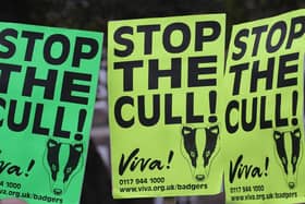 Culling has been a controversial tactic for years and even spurred protests in London