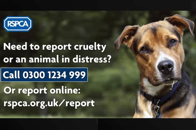 RSPCA officers described the attack as "sad and shocking"