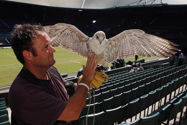 Wayne Davis - at Wimbledon