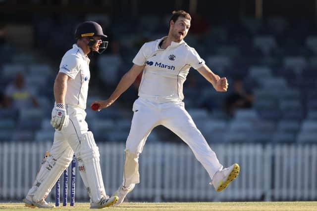 Matt Kelly pictured in Sheffield Shield action for Wester Australia last week