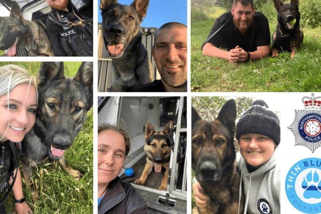 These police dog handlers will be tackling Mount Snowdon in aid of the Thin Blue Paw Foundation.