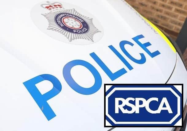 Police and the RSPCA were called out to the horses, as well as another animal charity and a vet