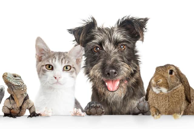 Enter our Top Pet competition for the chance to win a prize worth £50.