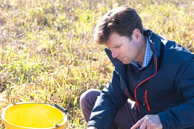 Duncan testing the soil