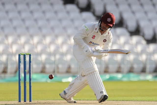 Ricardo Vasconcelos in batting action