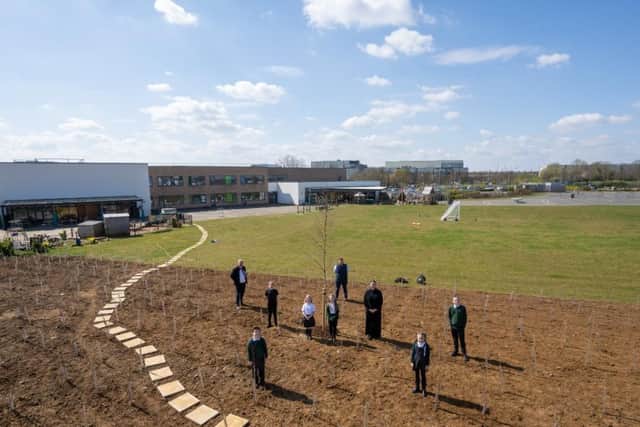 There will be 550 trees in the new forest area