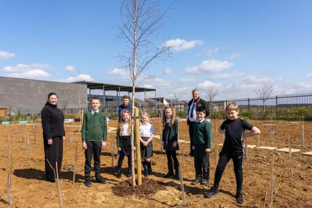When fully mature, the forest will provide a fun, natural environment for children to learn in.