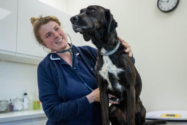 Rutland Veterinary Centre