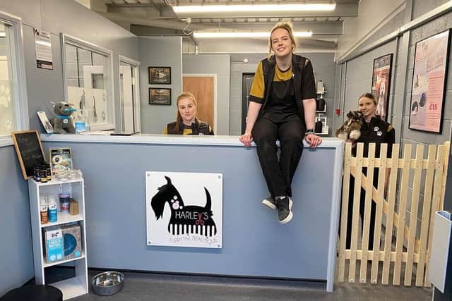 Harleys is offering a dog grooming service