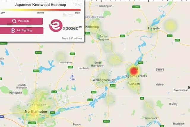 The Japanese knotweed heat map