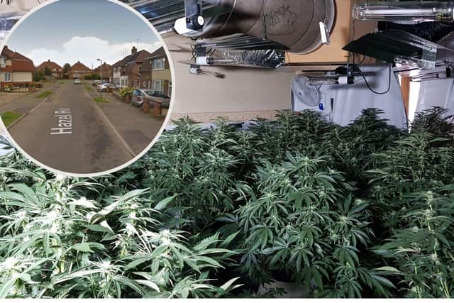 The grow house was discovered in Hazel Road