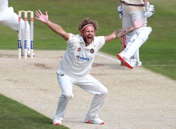 Gareth Berg makes a big appeal for a wicket