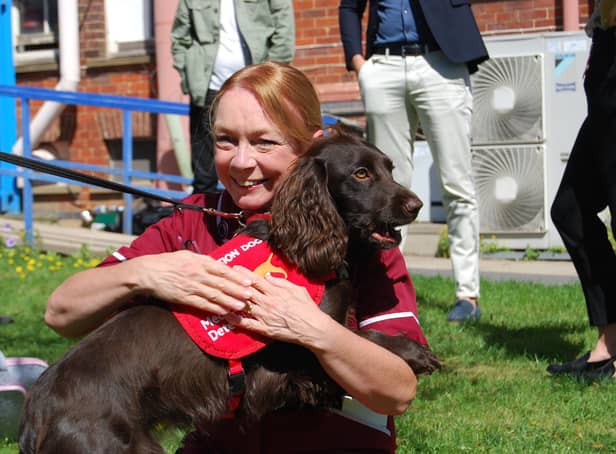 KGH Research Nurse Margaret Turns and Bramble during the Bio-detection Dog visit to KGH in August 2020