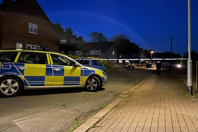 Constable Road this evening