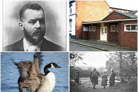 Northamptonshire Natural History Society. (Clockwise from top left) Former member Walter Drawbridge Crick, the Humfrey Rooms, three members at Badby Wood in 1935 after an all-night outing to observe wildlife, and a goose on Abington Park lake, taken by a member of the photography section