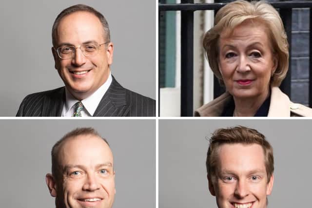 Tory MPs Michel Ellis, Andrea Leadsom, Chris Heaton-Harris and Tom Pursglove all backed the government
