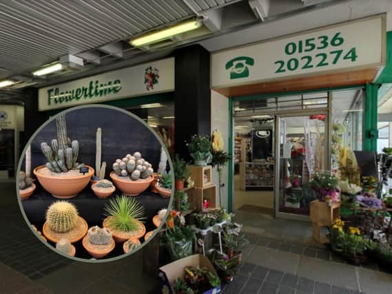 The thief stole her cactus from Flowertime in Corby. Image: Google / Inset: Getty Images.